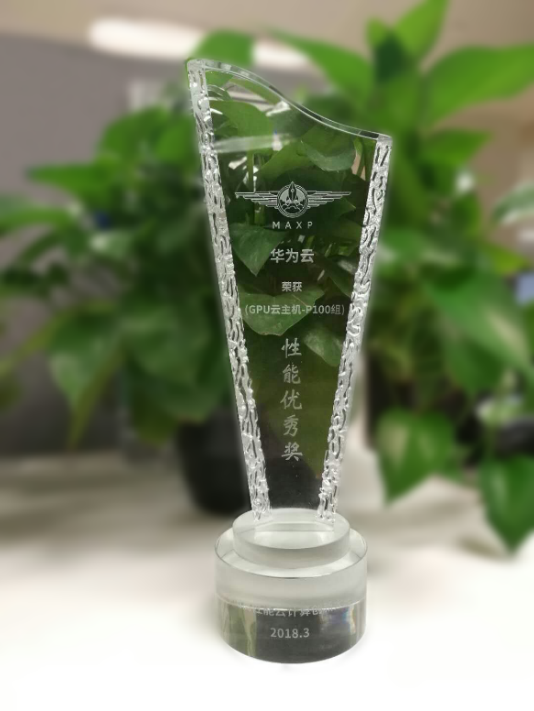 异构计算实例P1获得《性能优秀奖》